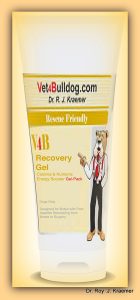 V4B Recovery Gel (Empowering Rescue )