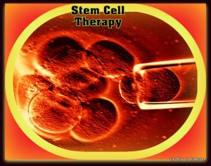 Dr. Kraemer’s MRSA and MRSP Infection in Bulldogs and French Bulldogs treated with stem cell therapy and cryobankin