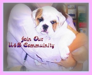 Empowering Rescue (Vet4Bulldog mission statement)