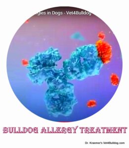 allergy cytopoint injection