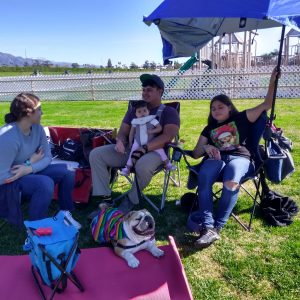 Bulldogs and French Bulldogs Outdoors Must Know Must Do: Check The weather Forecast Before You Leave Home