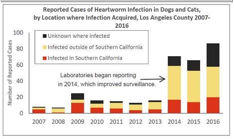 French bulldog heartworm disease