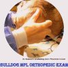 bulldog medial patella luxation MPL
