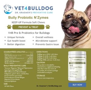 Bulldog with tongue out next to probiotic