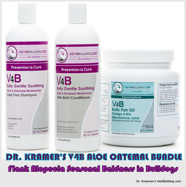 Flank Alopecia Seasonal Baldness in Bulldogs and French Bulldogs bundle