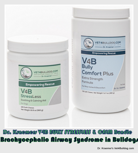 Brachycephalic Airway Syndrome in Bulldogs and French Bulldogs STRESSLLESS & CALM