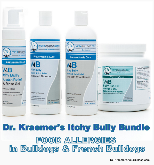 Bulldog Food Allergy Gastroenteritis and Dermatitis