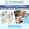 Senior bulldog and French bulldog Ultimate bundle