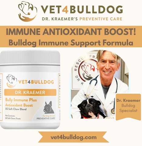 bulldog and french bulldog immune boost