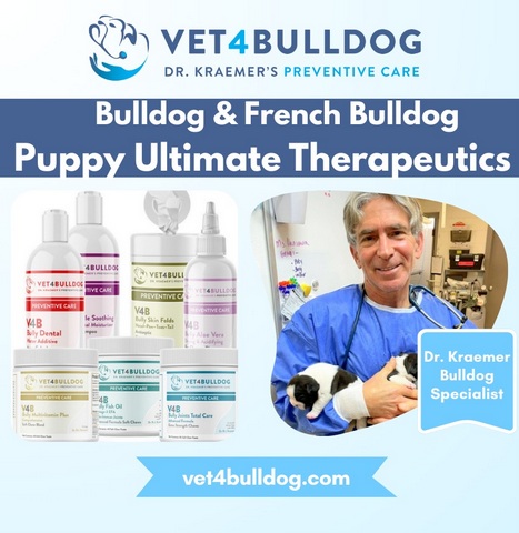 bulldog and french bulldog puppy ultimate bundle