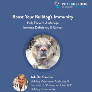 bulldog immune ad