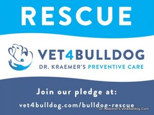 Dr. Kraemer's Bulldog Rescue Pledge