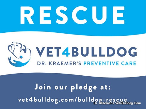 Dr. Kraemer's Bulldog Rescue Pledge