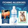 Medicated itch and allergy Shampoo for bulldogs
