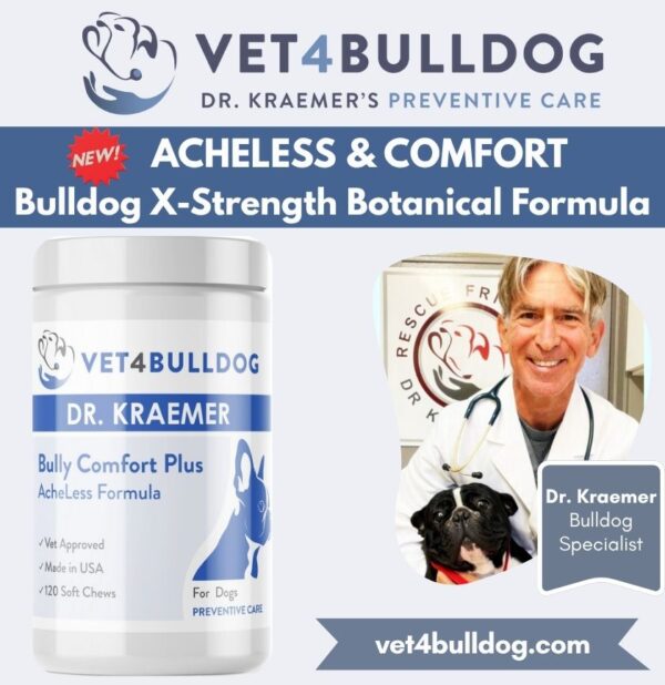 bulldog and French Bulldog comfort Supplement