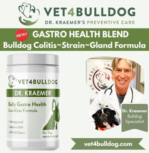 bulldog and French Bulldog gastro & gland supplement