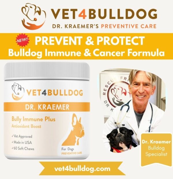 bulldog and French Bulldog immune & cancer Supplement