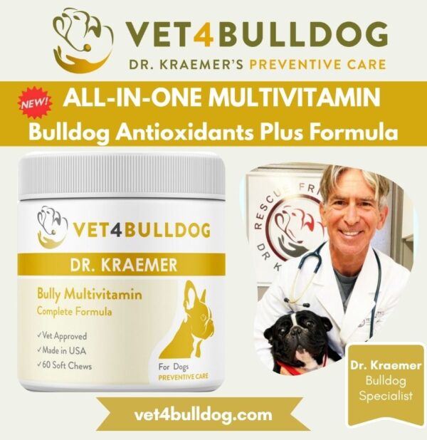 bulldog and French Bulldog multivitamin Supplement