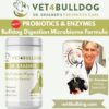 bulldog and French Bulldog probiotics Supplement