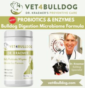 bulldog and French Bulldog probiotics Supplement