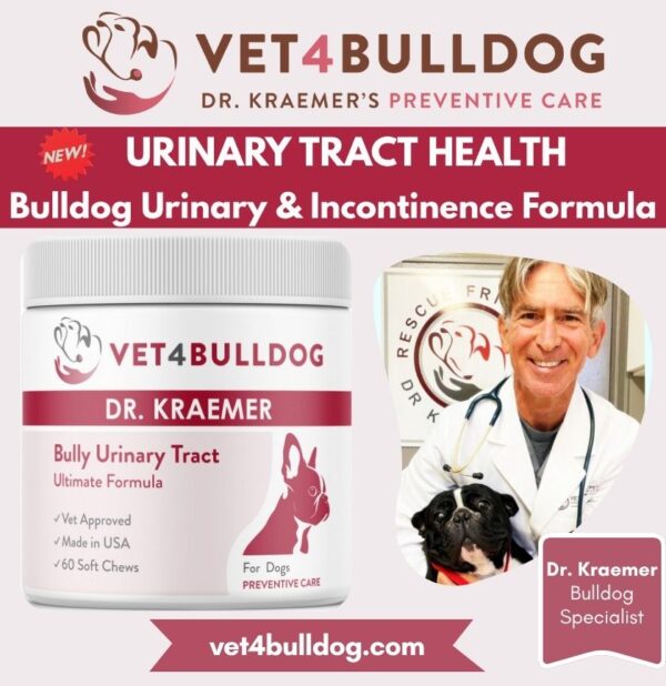 bulldog and French Bulldog urinary health Supplement