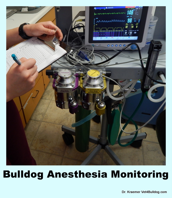 bulldog-anesthesia-monitoring