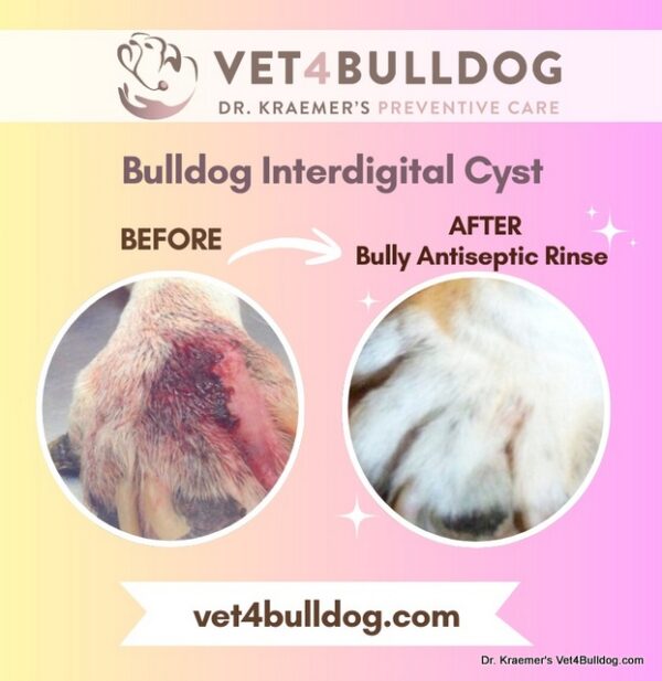 Bulldog Interdigital Cyst Before and After
