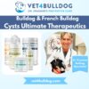 Bulldog interdigital cyst ultimate care bundle