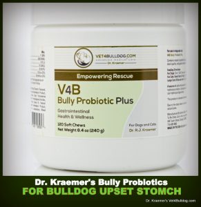 Answer for Food Allergy and Stomach Upset in French Bulldogs