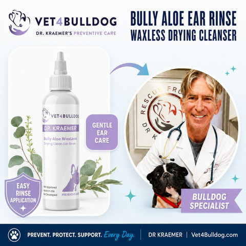 Dr. Kraemer, bulldog specialist, with V4B Bully WaxLess Aloe Vera Ear Rinse
