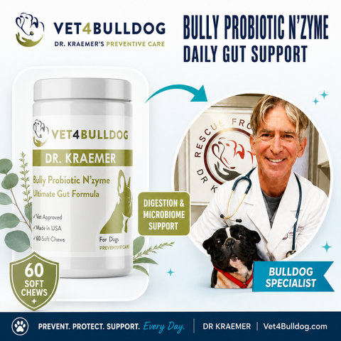 Dr. Kraemer, bulldog specialist, with V4B Bully Probiotic N’Zyme