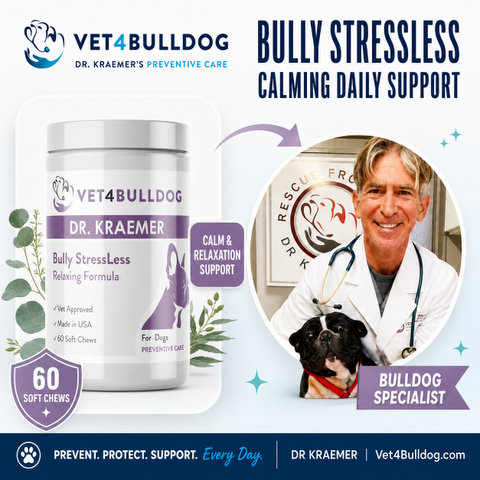 Dr. Kraemer, bulldog specialist, with V4B Bully StressLess & Calming Aid