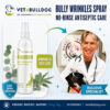 Dr. Kraemer, bulldog specialist, with V4B Bully Wrinkles Antiseptic Spray