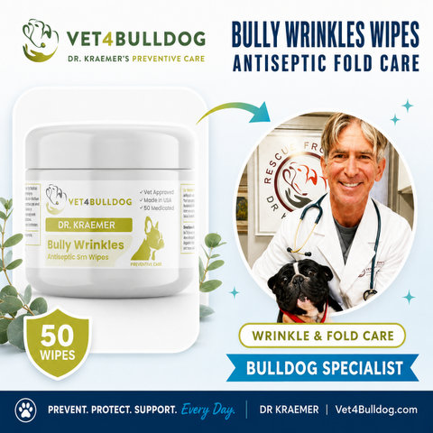 Dr. Kraemer, bulldog specialist, with V4B Bully Wrinkle & Skinfold Antiseptic Small Wipes