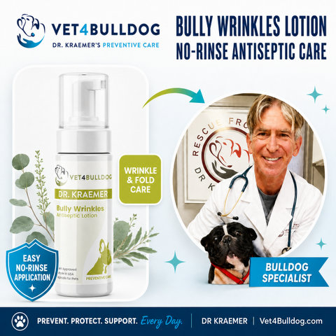 Dr. Kraemer, bulldog specialist, with V4B Bully Wrinkles Antiseptic Lotion