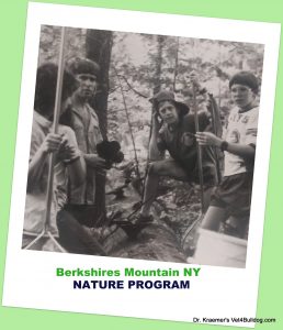 Dr Kraemer Bulldogs and French Bulldogs nature program