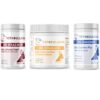 Bully Urinary Tract Health Essential Bundle with current 2026 Vet4Bulldog product labels
