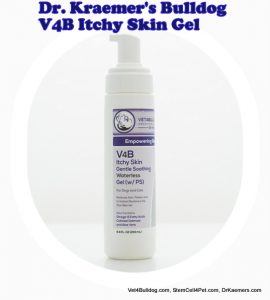 Dr. Kraemer V4B bulldog and French bulldog itch control waterless gel