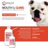 Antiseptic bulldog dental bundle