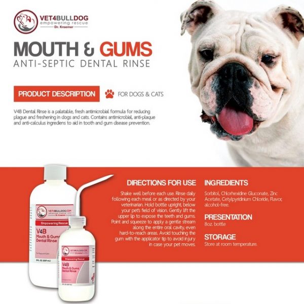 Antiseptic bulldog dental bundle