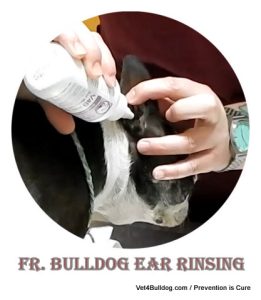 bully therapeutic ear rinse demo