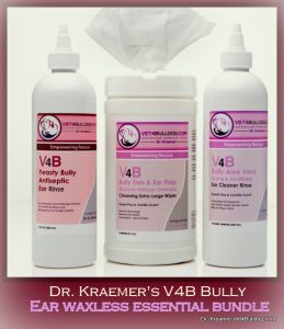 Ears Otitis Ear Infection in Bulldogs and French Bulldogs