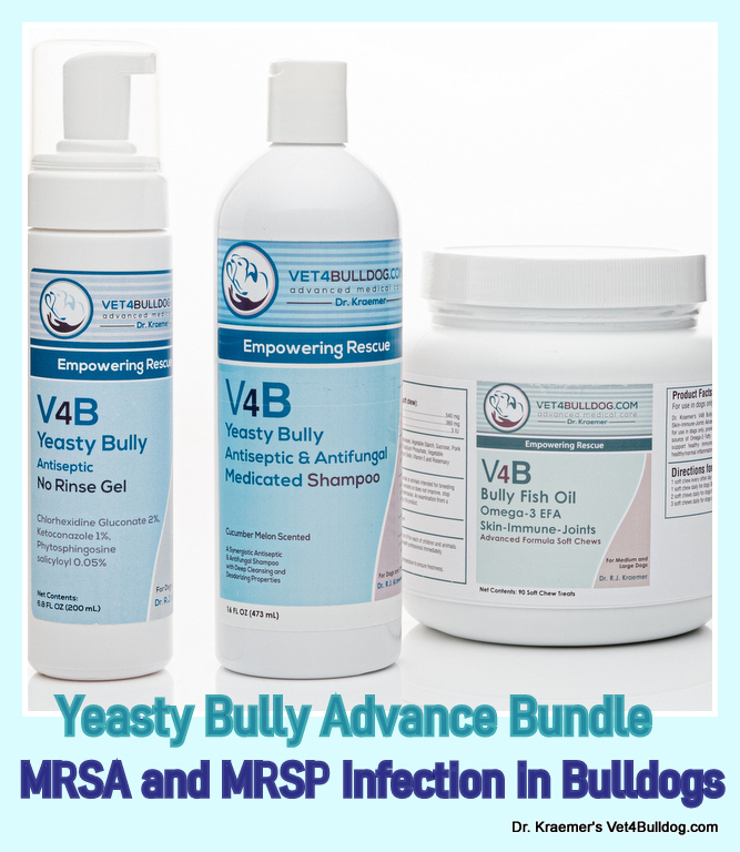 MRSA and MRSP Infection in Bulldogs and French Bulldogs topical therapy