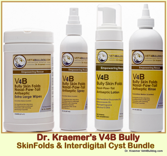 English Bulldogs Interdigital Cyst topical treatment