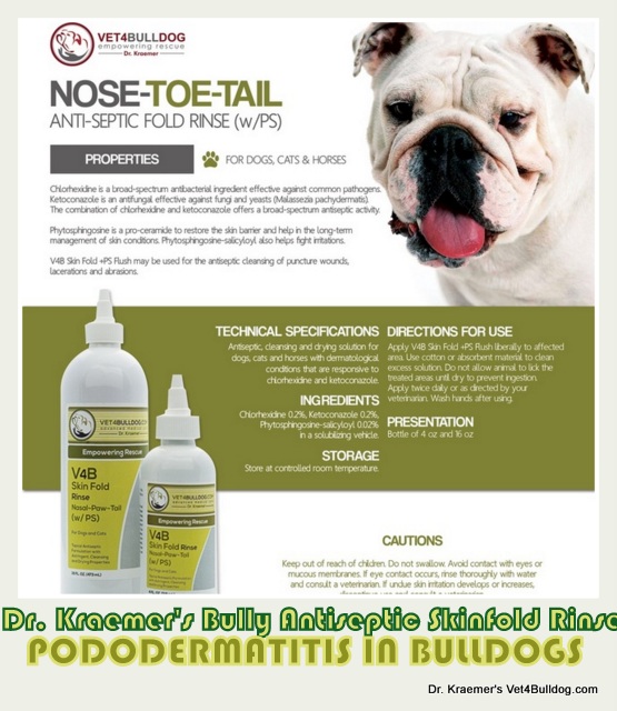 Bulldog and French Bulldogs Toe and Paw Skinfold Photodermatitis