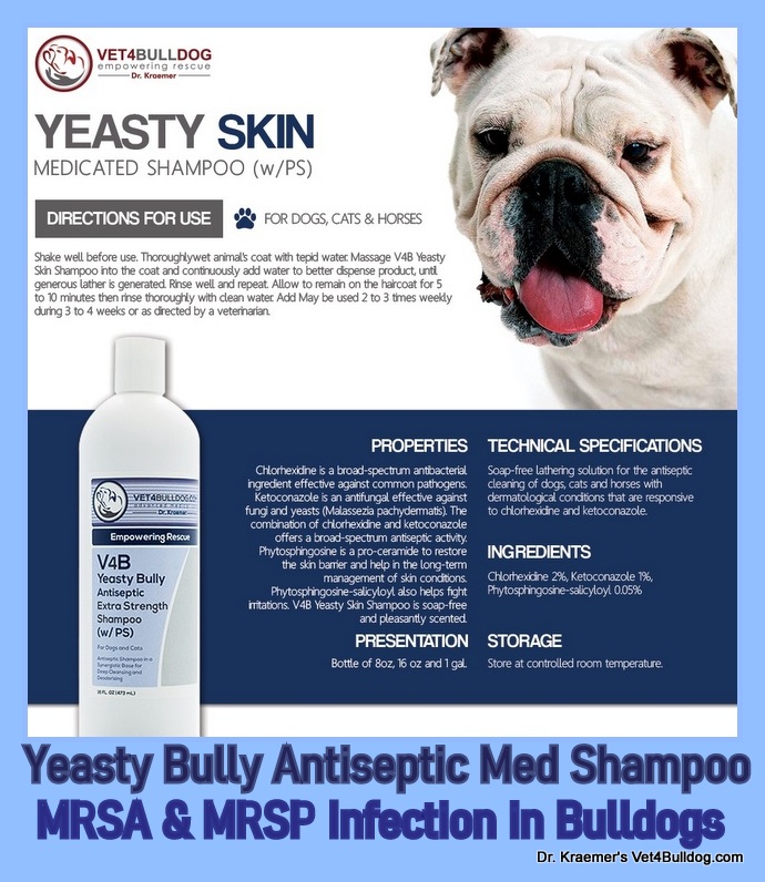 MRSA and MRSP Infection in Bulldogs and French Bulldogs shampoo