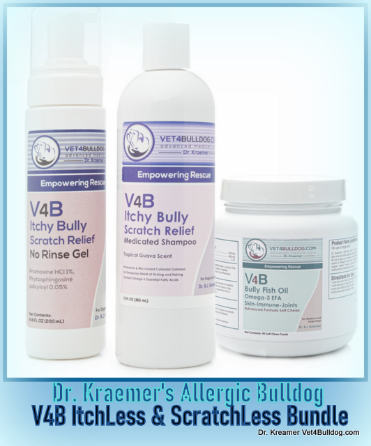 Allergic Atopic Itch Dermatitis in Bulldogs and French Bulldogs itchless bundle