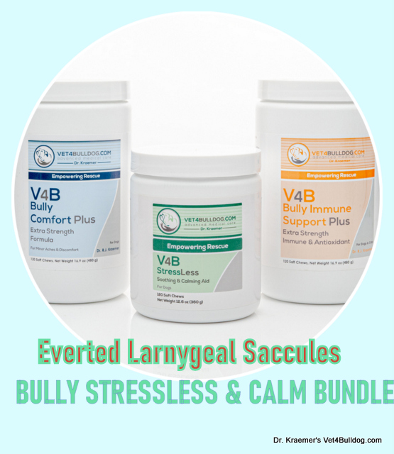 Bulldog and French bulldog everted laryngeal saccules