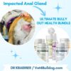 bulldog anal gland infection preventive bundle