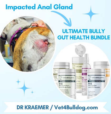bulldog anal gland infection preventive bundle